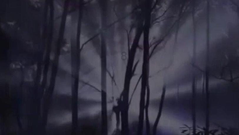 寻找沙漠珍宝