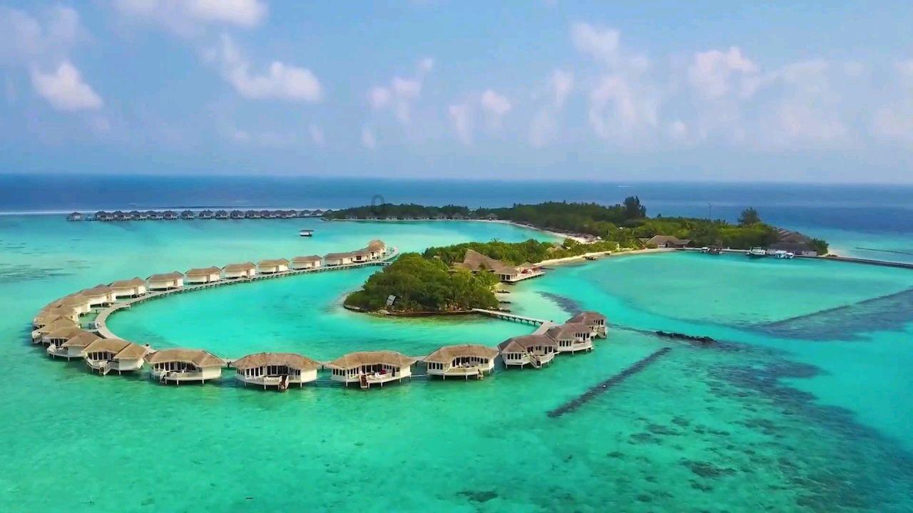 从红衣教父到蓝杉,两大亿万富豪同时回归,2024年逆水寒真变天了