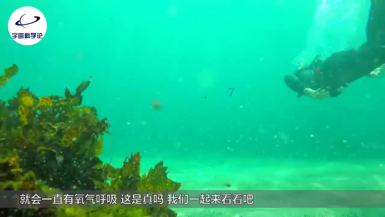 原始丛林找星星