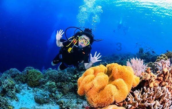 杭州非遗乡村年货节开大集!感受纯真乡土情怀