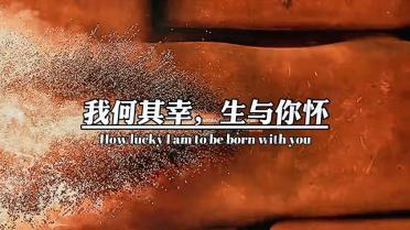 逗小猴开心系列211
