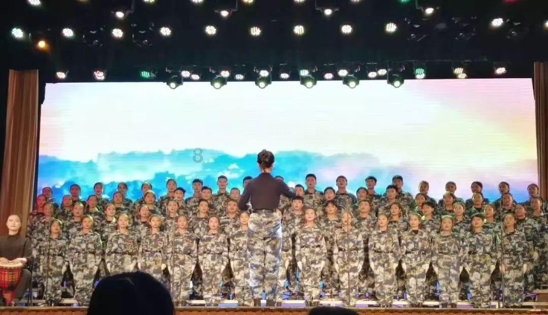 海贼王伟大冒险2
