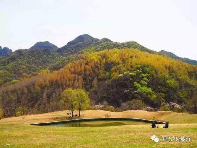 用电饭煲怎么做鸡蛋糕？游戏画面