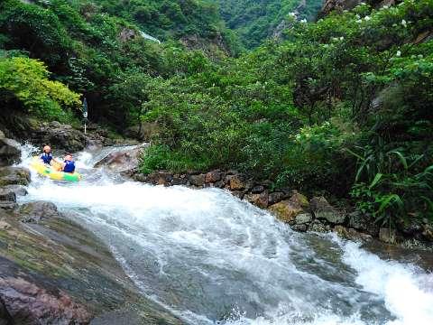 逃离橡子树种植地