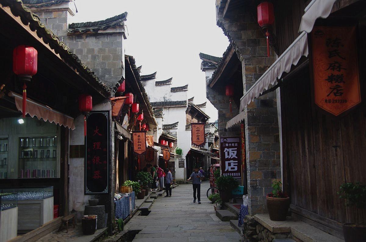 小长颈鹿逃离