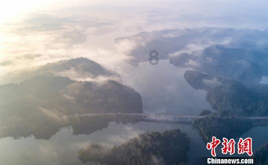 火锅素毛肚是什么做的？